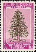 Colnect-2288-701-Pinus-australis.jpg