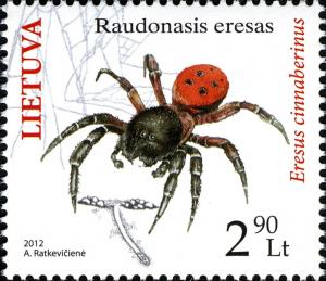 Colnect-1587-152-Ladybird-spider-Eresus-cinnaberinus.jpg