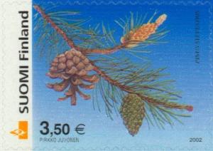 Colnect-160-645-Scots-Pine-Pinus-sylvestris.jpg