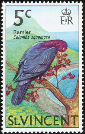 Colnect-1755-545-Scaly-naped-Pigeon-Patagioenas-squamosa.jpg