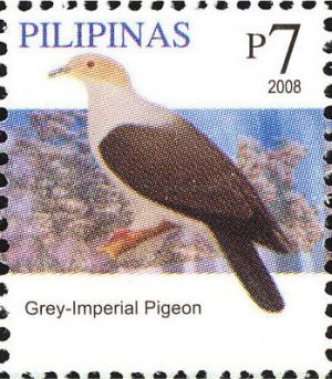 Colnect-2875-018-Grey-Imperial-Pigeon-nbsp-Ducula-pickeringii.jpg
