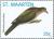 Colnect-2624-039-Plumbeous-Pigeon-Patagioenas-plumbea.jpg