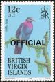 Colnect-3069-283-Red-necked-Pigeon-Patagioenas-squamosa.jpg
