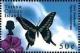 Colnect-4762-541-Papilio-cresphontes.jpg