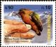 Colnect-4972-426-Rufous-Piculet%C2%A0Sasia-abnormis.jpg