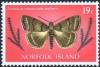 Colnect-2132-711-Litter-Moth-Simplicia-caeneusalis-ssp-buffetti.jpg