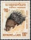 Colnect-1206-803-Himalayan-Porcupine-Hystrix-hodgsoni.jpg