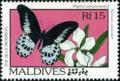Colnect-2674-853-Blue-Mormon-Papilio-polymnestor-Oleander-Nerium-oleander.jpg