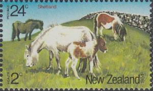 Colnect-2130-006-Shetland-Pony-Equus-ferus-caballus.jpg