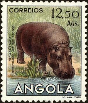 Colnect-4223-102-Common-Hippo-Hippopotamus-amphibius.jpg