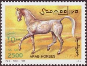 Colnect-5148-134-Spotted-Arab-horse.jpg