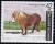 Colnect-2796-084-Shetland-Pony-Equus-ferus-caballus.jpg