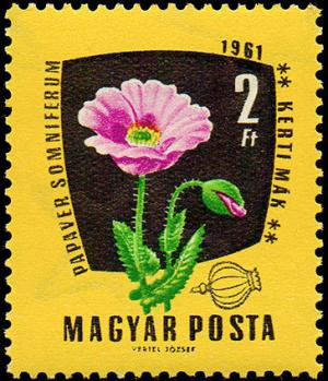 Colnect-867-153-Opium-Poppy-Papaver-somniferum.jpg