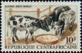 Colnect-1054-167-Cattle-Bos-primigenius-taurus-breeding.jpg
