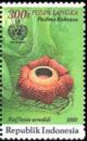 Colnect-975-638-Environmental-Protection--Rafflesia-arnoldi.jpg
