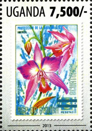 Colnect-3053-255-World-in-Stamps---Orchids---Rep-of-Guinea.jpg