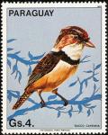 Colnect-1724-421-Collared-Puffbird%C2%A0Bucco-capensis.jpg