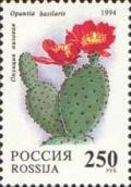 Colnect-513-909-Opuntia-basilaris.jpg