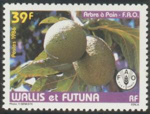 Colnect-897-452-Artocarpus-altilis-Breadfruit.jpg