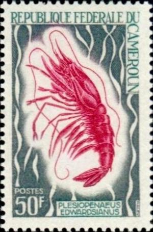 Colnect-2770-959-Scarlet-Shrimp-Plesiopenaeus-edwardsianus.jpg