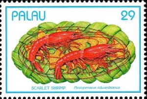 Colnect-5501-465-Scarlet-Shrimp-Plesiopenaeus-edwardsianus.jpg