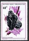 Colnect-1256-029-Gorilla-squatting-Gorilla-beringei.jpg