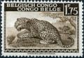 Colnect-1079-214-Leopard---inscribed--quot-Belgisch-Congo-Congo-Belge-quot-.jpg
