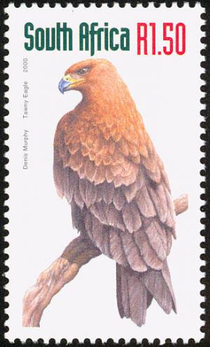 Tawny-Eagle-Aquila-rapax.jpg