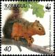 Colnect-5408-576-Persian-Squirrel-Sciurus-persicus.jpg
