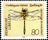 Colnect-5381-563-Golden-ringed-Dragonfly-Cordulegaster-boltonii.jpg