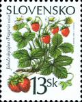 Colnect-1940-567-Common-Strawberry---Fragaria-vesca.jpg