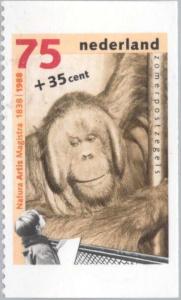 Colnect-176-997-Bornean-orangutan-Pongo-pygmaeus.jpg