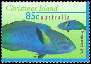 Colnect-2754-521-Green-Moon-Wrasse-Thalassoma-lutescens--.jpg