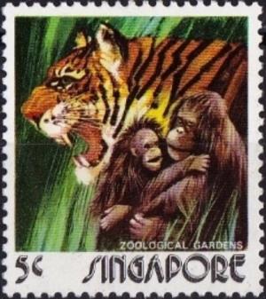 Colnect-3012-846-Tiger-Panthera-tigris-Orangutan-Pongo-sp.jpg