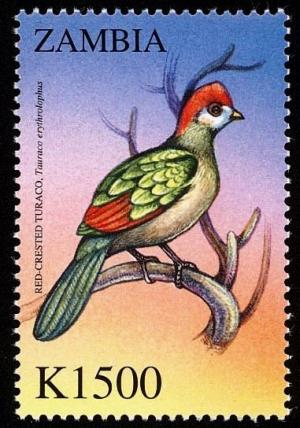 Colnect-3507-657-Red-crested-Turaco%C2%A0-%C2%A0Tauraco-erythrolophus.jpg
