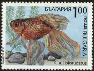Colnect-4413-053-Goldfish-Carassius-auratus-bicaudatus.jpg