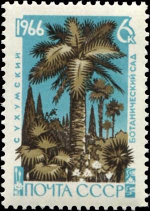 Colnect-4517-108-Palms-and-cypresses-Trachycarpus-fortunei-Cupressus-semper.jpg