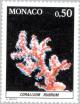 Colnect-148-762-Red-Coral-Corallium-rubrum.jpg