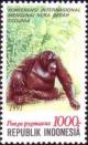 Colnect-938-885-Bornean-Orangutan-Pongo-pygmaeus.jpg