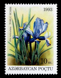 Stamp_of_Azerbaijan_191.jpg