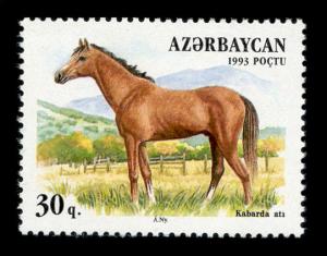 Stamp_of_Azerbaijan_171.jpg