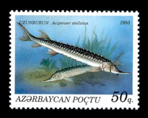 Stamp_of_Azerbaijan_194.jpg