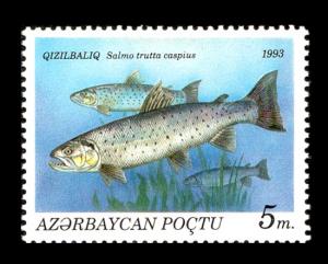 Stamp_of_Azerbaijan_197.jpg