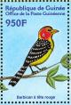 Colnect-3813-944-Red-and-yellow-Barbet-Trachyphonus-erythrocephalus.jpg