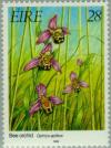 Colnect-129-143-Bee-Orchid-Ophrys-apifera.jpg