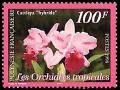 Colnect-670-357-Tropical-orchids-Cattleya--hybride-.jpg