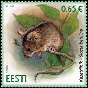 Colnect-3605-765-Northern-Birch-Mouse-Sicista-betulina-.jpg