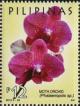 Colnect-3955-604-Moth-Orchid-Phalaenopsis-sp.jpg