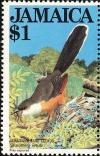Colnect-1700-663-Jamaican-Lizard-Cuckoo-Saurothera-vetula-.jpg