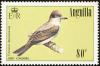 Colnect-579-182-Grey-Kingbird-Tyrannus-dominicensis-.jpg
